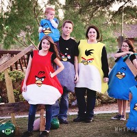 Angry Birds 062