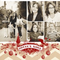Holiday Card copy
