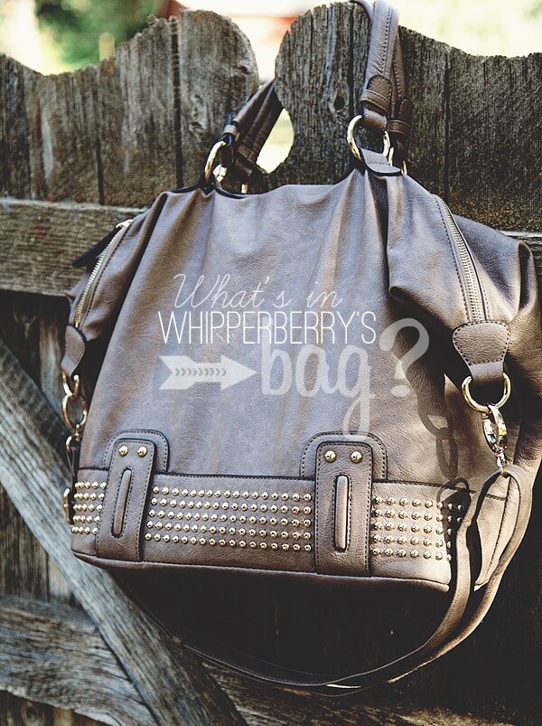 WhipperBerry's Bag