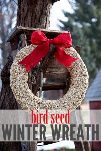 bird seed winter wreath