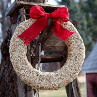 bird seed wreath from whipperberry