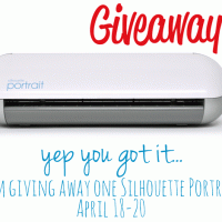 Whipperberry-Silhouette-Giveaway-Instagram-image