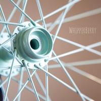 Painted Bicycle Wheel Spoke