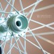 Painted Bicycle Wheel Spoke