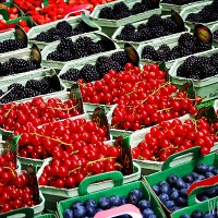 WhipperBerry's Paris Market Berries