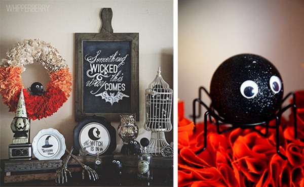 cute little spooky spider display from whipperberry