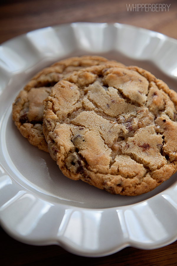 the world best chocolate chip cookie