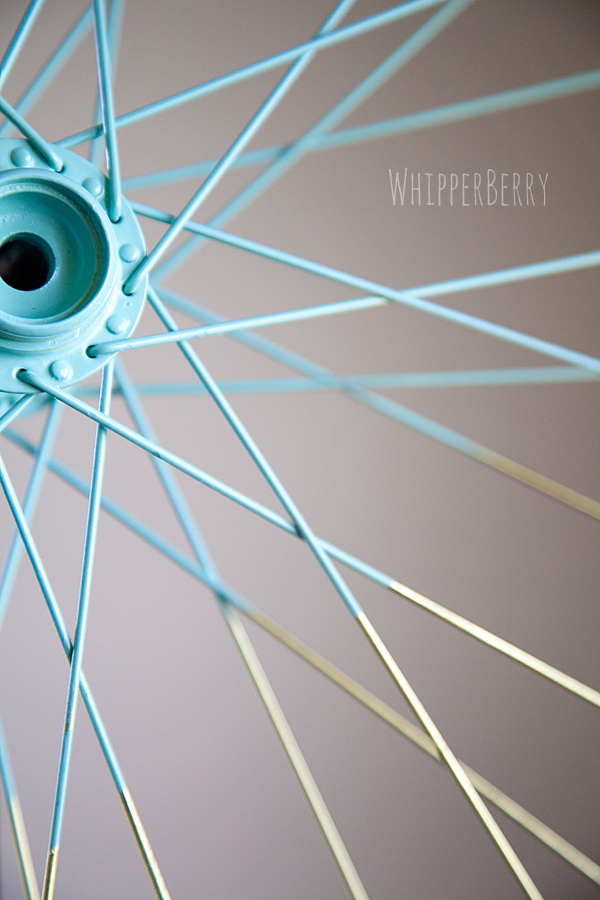 Color Blocked Bicycle Wheel
