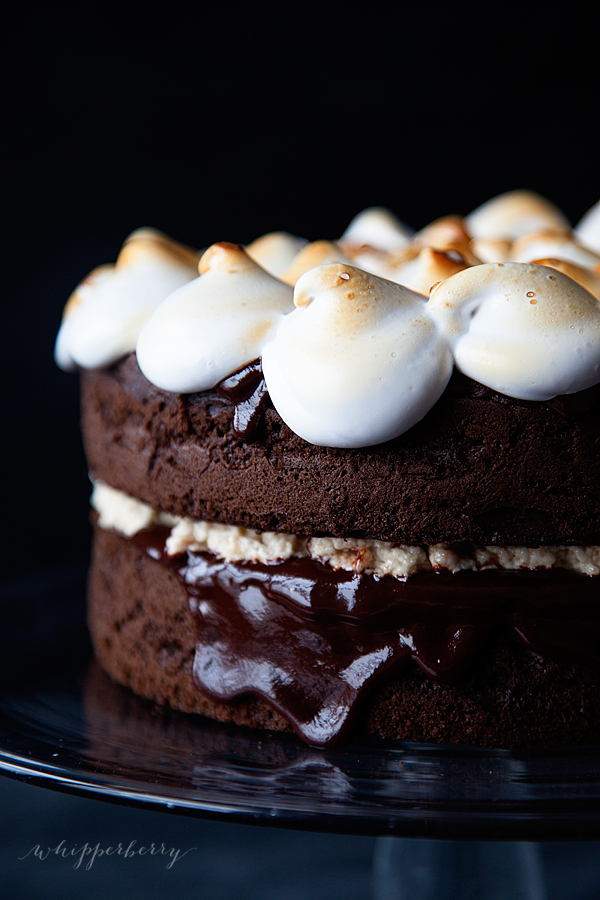 Pillsbury-S'Mores-Cake-by-WhipperBerry-4