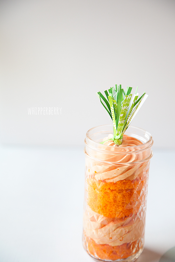 Single-Carrot-Cake-from-WhipperBerry