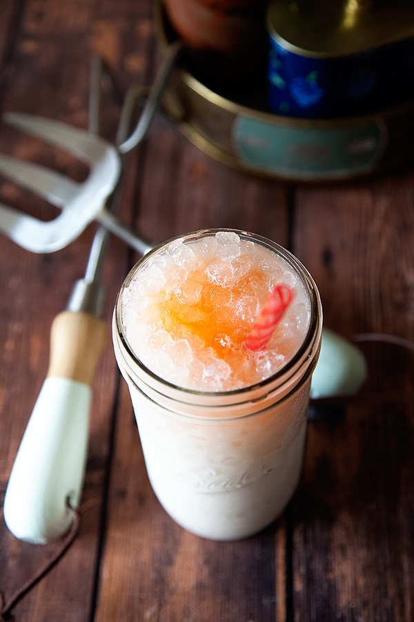 International-Delight-Peaches-and-Cream-Iced-Tea-from-WhipperBerry-8