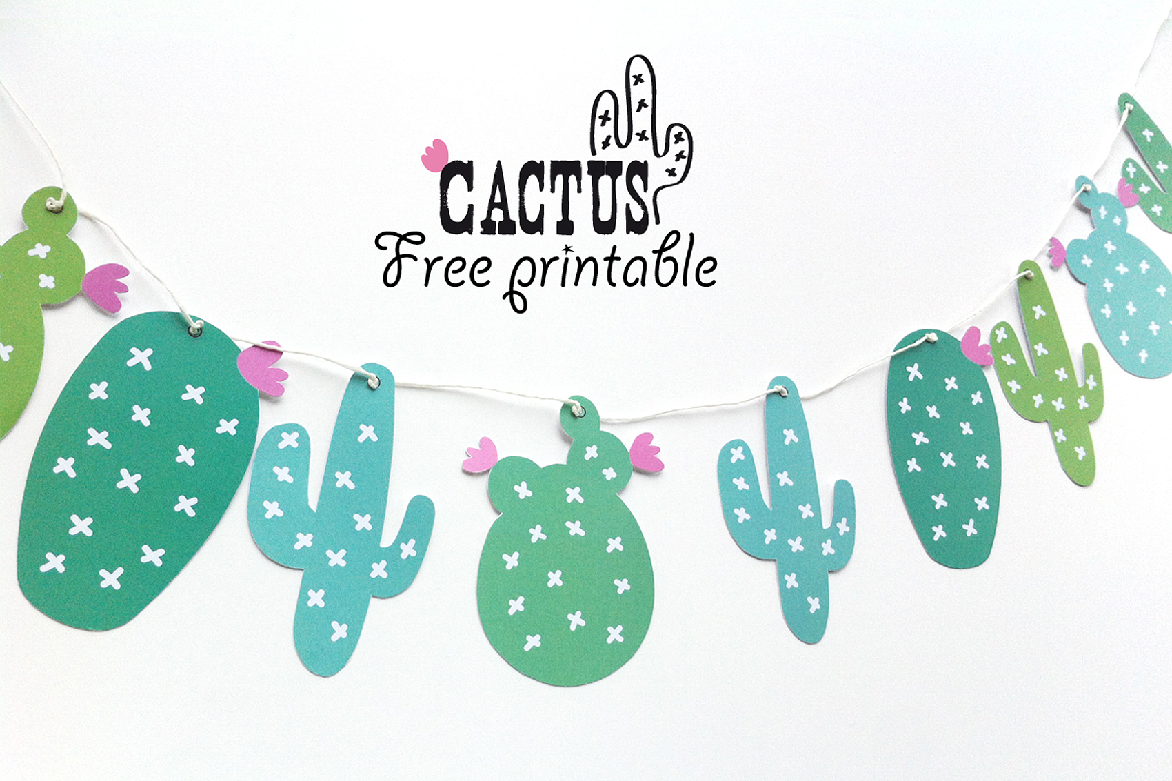 Cactus-garland
