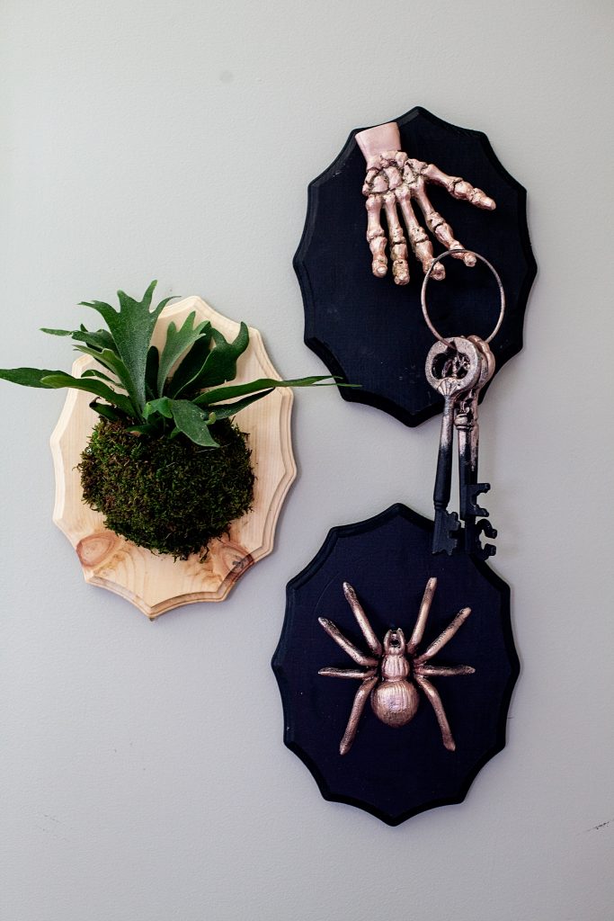 Add a little flair to your spooky Halloween decor with DecoArt! I used their Metallic Lustre to turn simple spooky objects into creepy yet classy taxidermy plaques to decorate our entryway for Halloween.