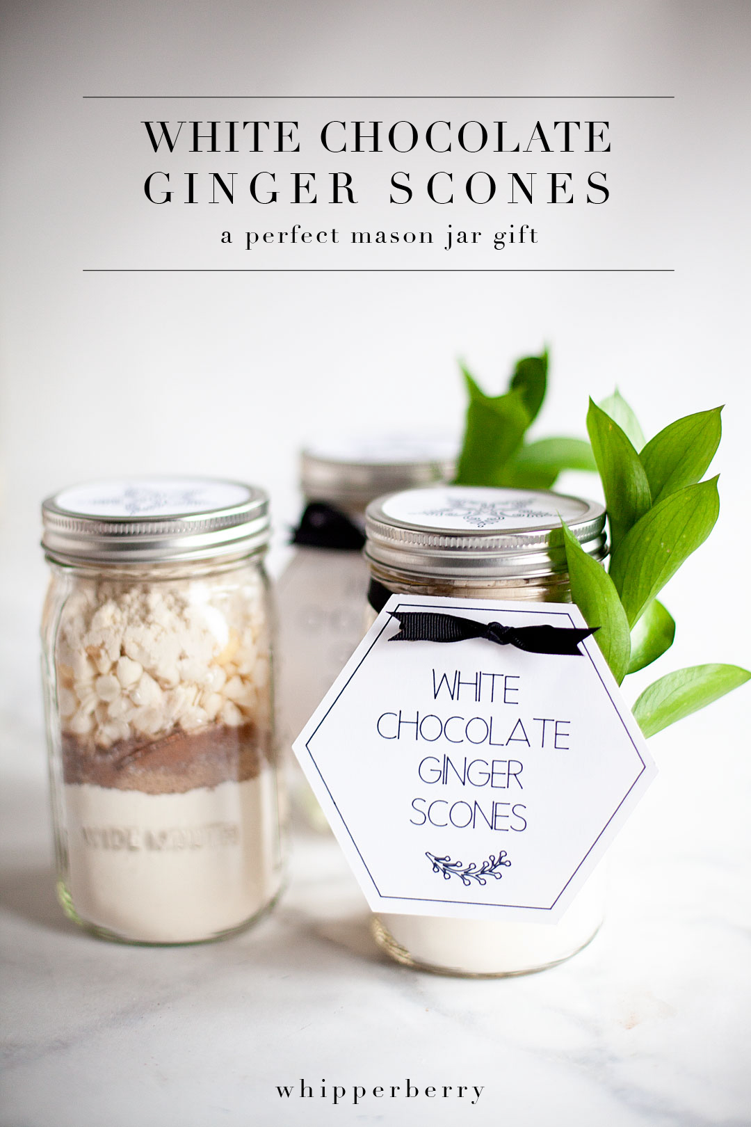 This year, I’m working on all kinds of fun gifts for the Holidays that will look spectacular gifted inside of a jar. One of my favorites is the White Chocolate Ginger Scone Mix in a jar. It’s really easy to put together a whole bunch of these gifts and really not expensive at all. It’s always a bonus to save a little money during the holidays. @ballcanning #giftsinajar #neighborgifts #teachergifts #sconeinajar
