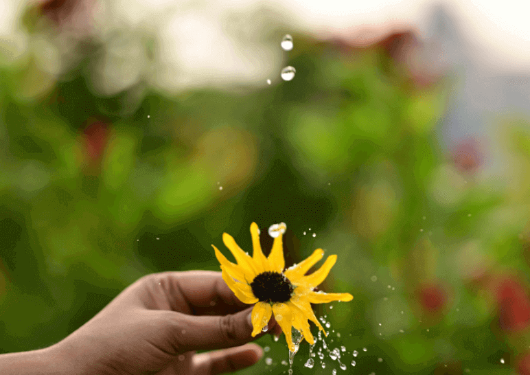 ways to brighten your home