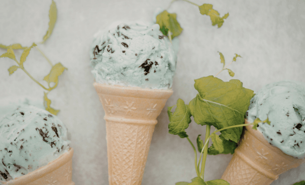 vegan ice cream business