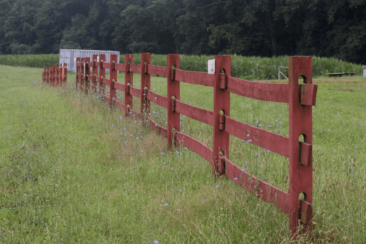Red fence in a grassy field, ideal