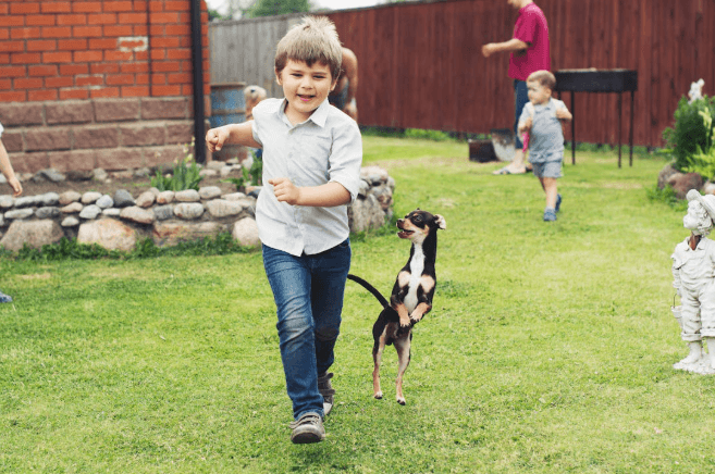 Young boy runs with dog in a kid and
