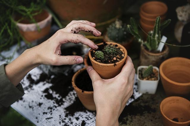 gardening together