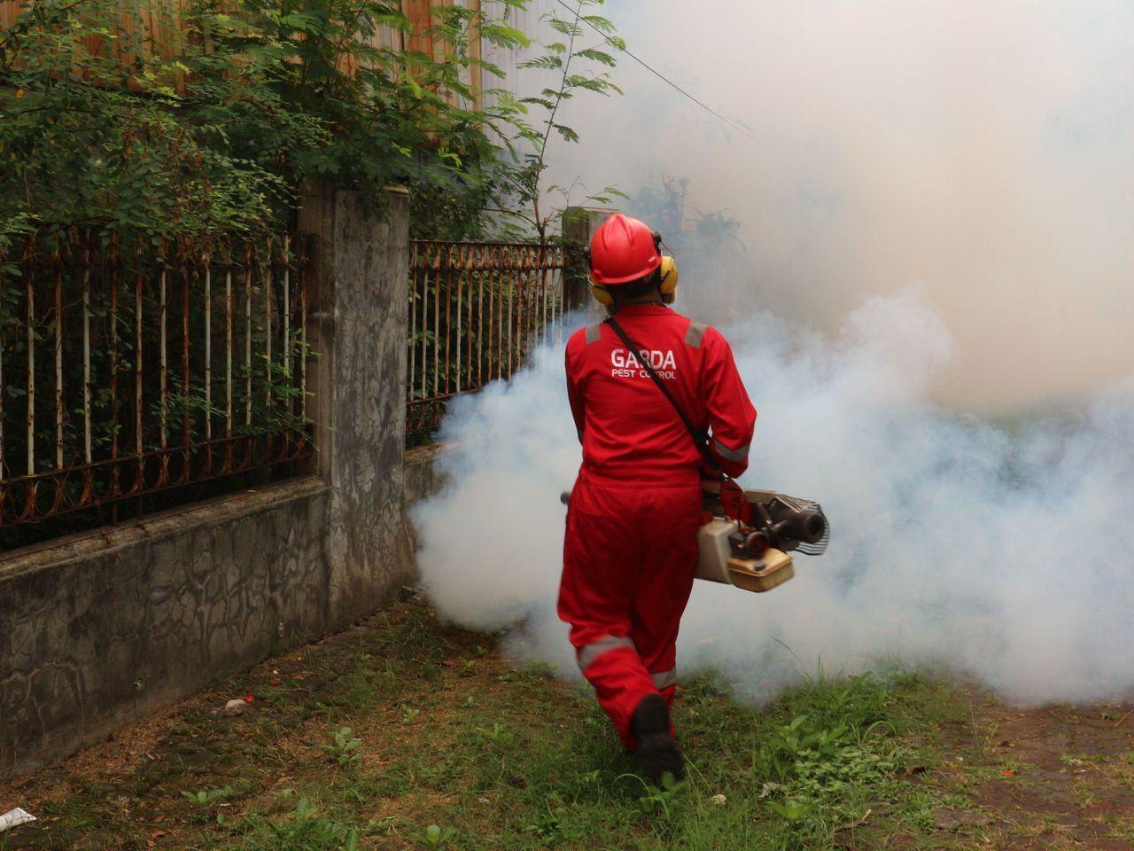 A pest control worker fogging in an outdoor space with smoke to eliminate pests