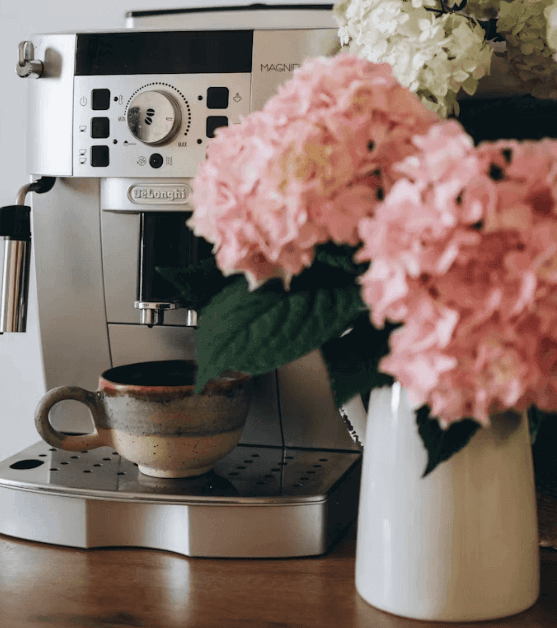 Travel-inspired Home Decor