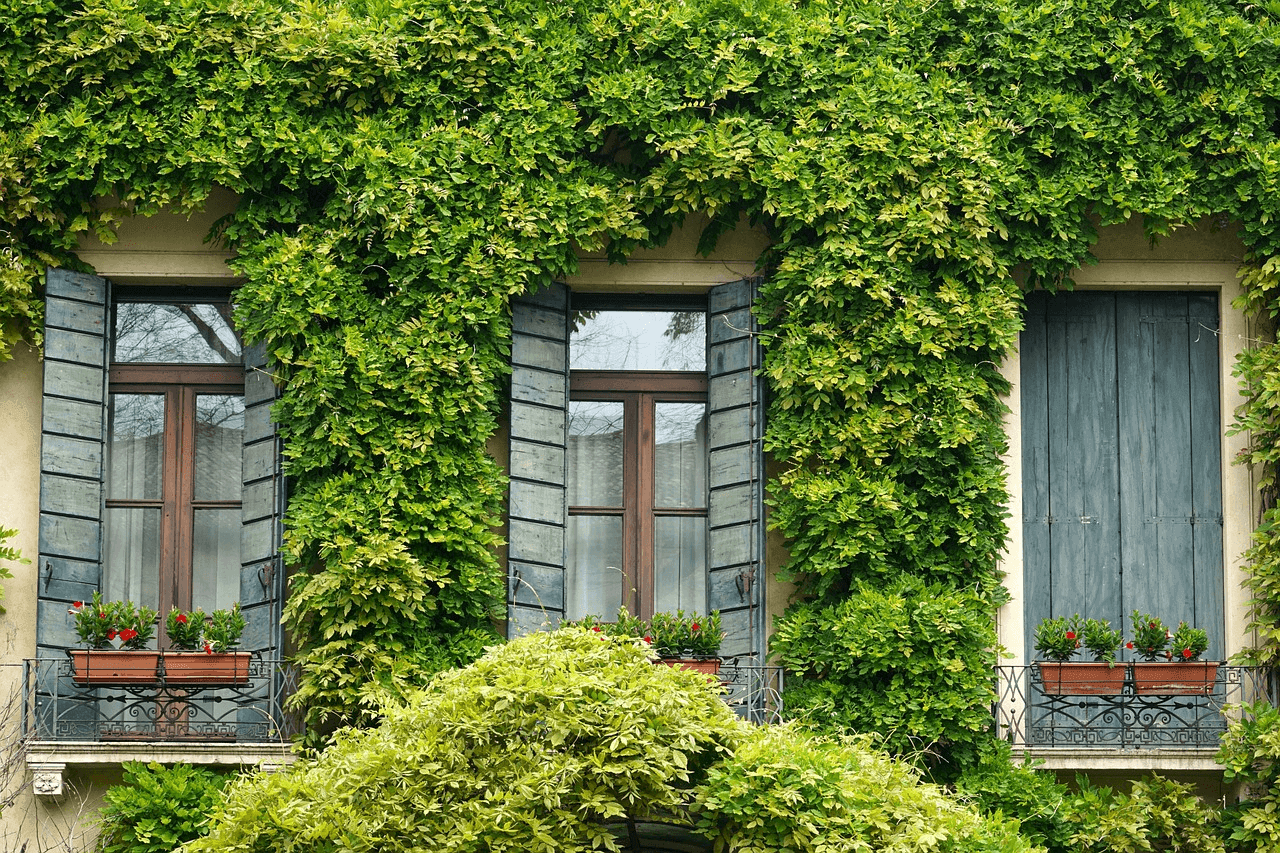 Building exterior with two windows adorned with green
