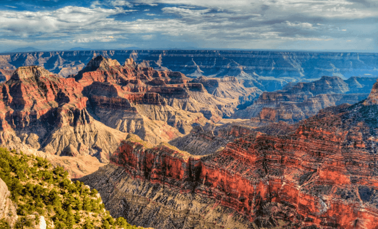 family trip to Grand Canyon