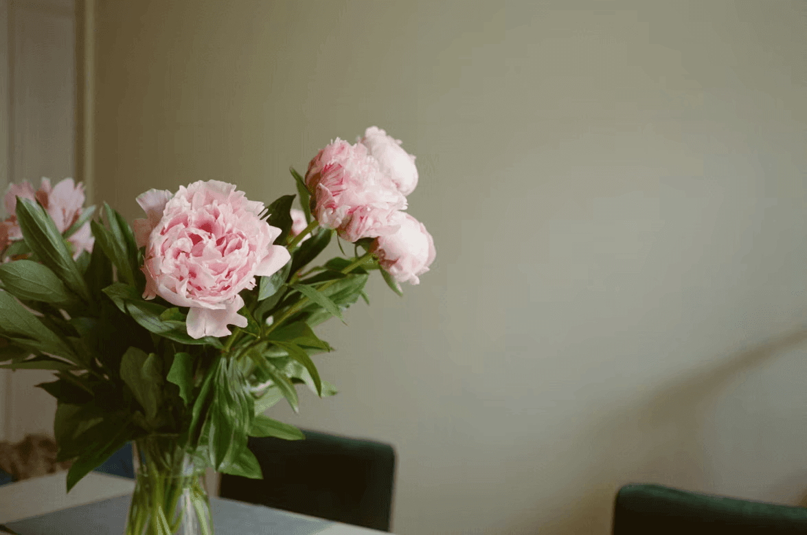 Fresh pink flowers in a vase on
