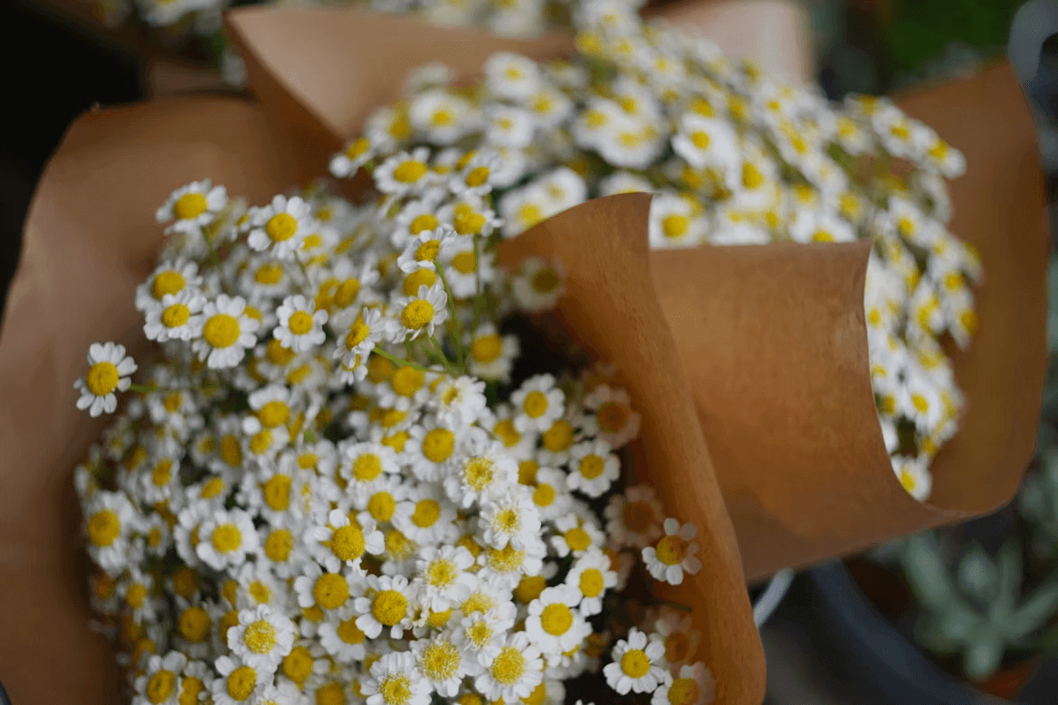 Fresh white and yellow flowers in a