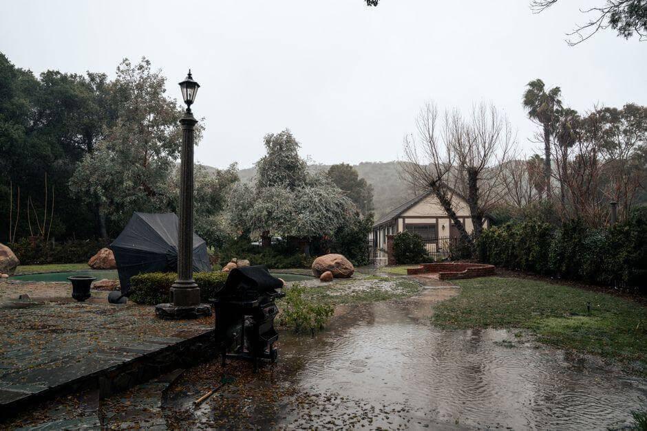 Rainy day in a neighborhood with trees pointing to