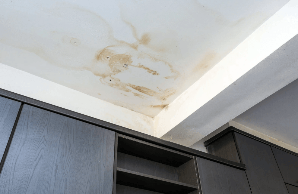 Roof leak stain on ceiling