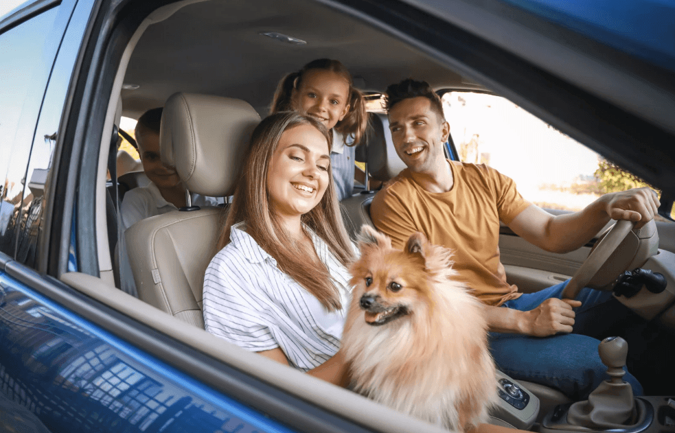 Stress-Free Family Travel