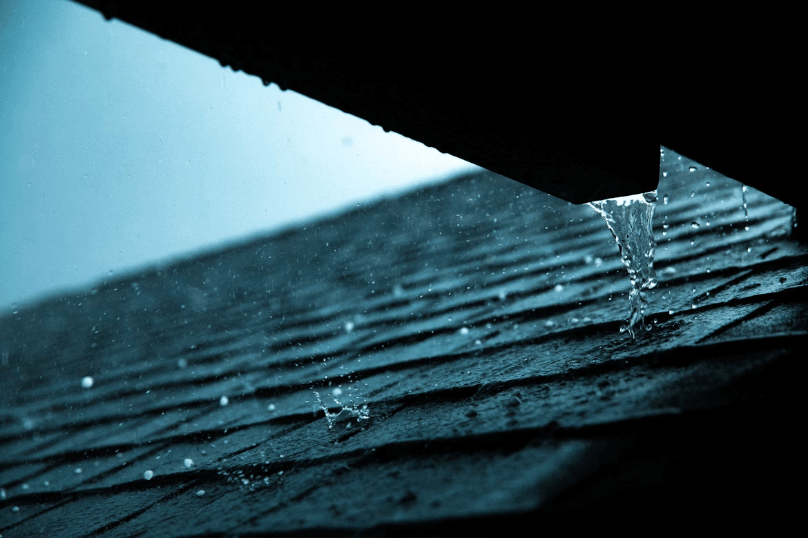 Water leaking from dark roof shingles, a sign