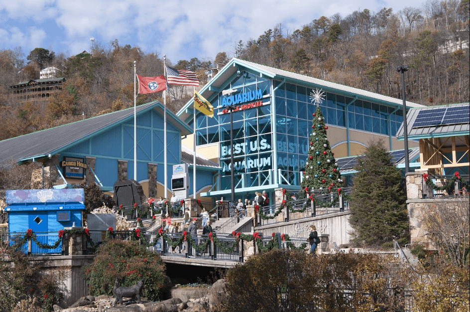 Building with a Christmas tree in front