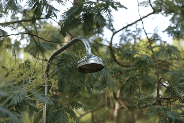 Close-up of a shower head attached to a