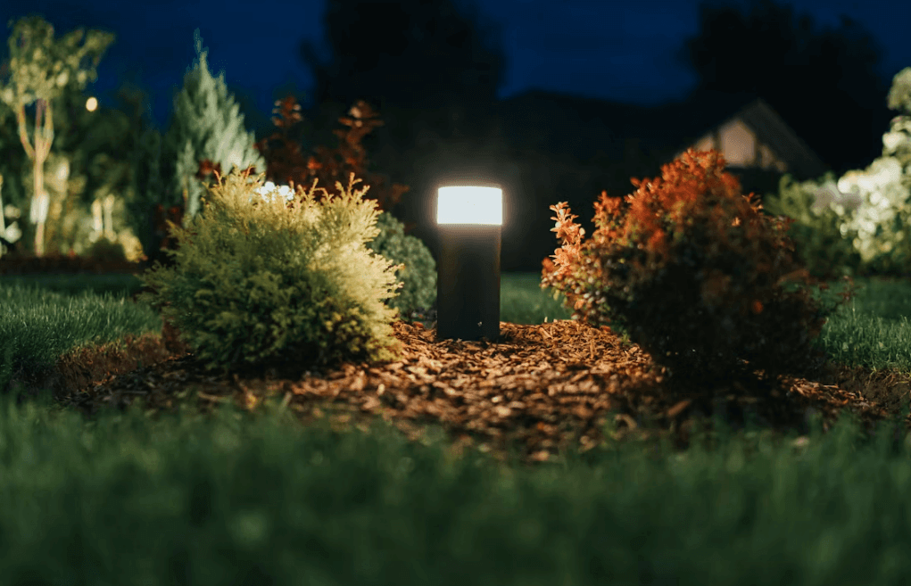 DIY vs Professional Outdoor Lighting