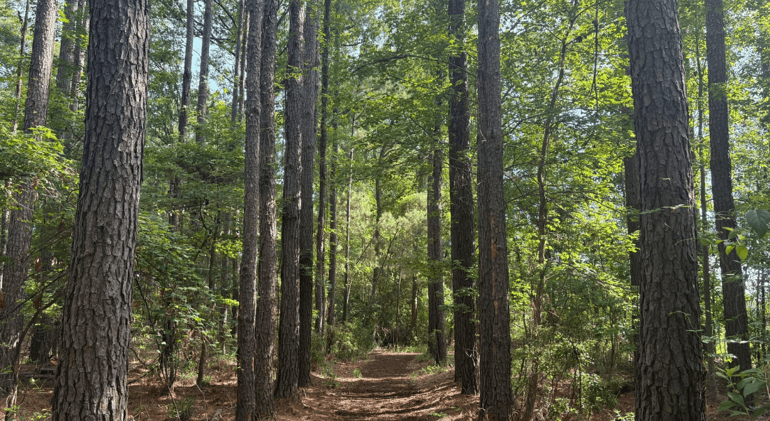rural land in North Carolina
