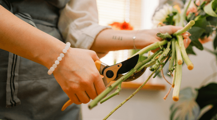 cut flowers
