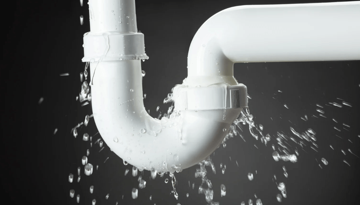 Signs of a Hidden Water Leak Every Homeowner Should Know