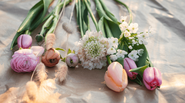 stems of cut flowers